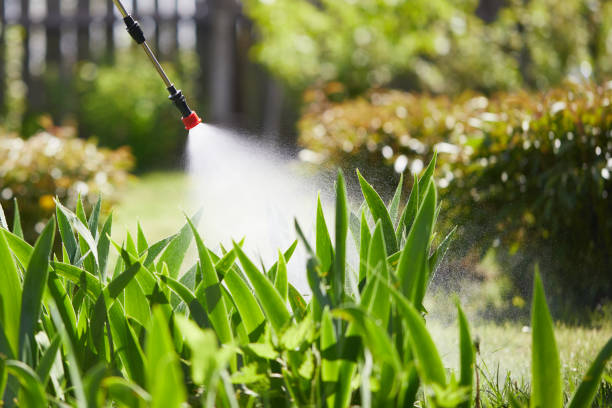 Tamper-Resistant Bait Stations for Rodents in Phenix City