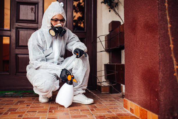 Attic and Crawl Space Rodent Treatment in Phenix City