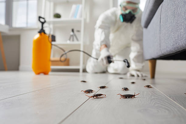 Commercial Rodent Management in Phenix City